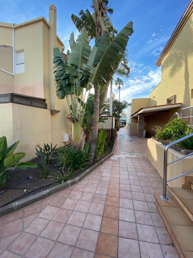 Canarian Green Oasis By Luca Properties Gran Canaria マスパロマス エクステリア 写真